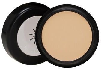 MISSHA The Style Perfect Concealer